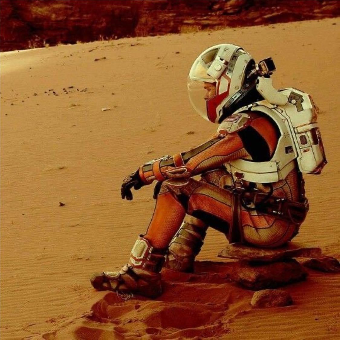 the martian