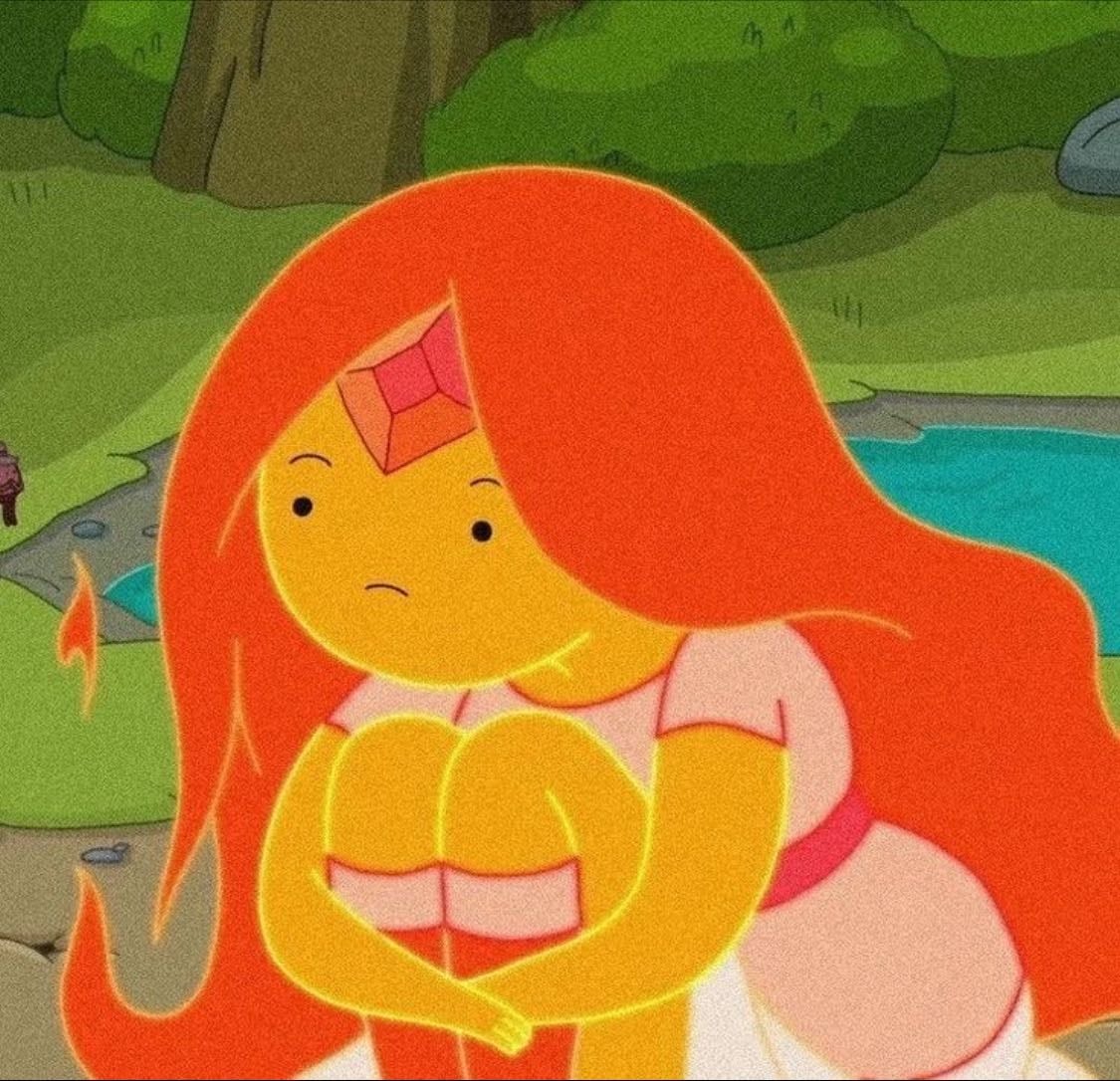 princesa llama