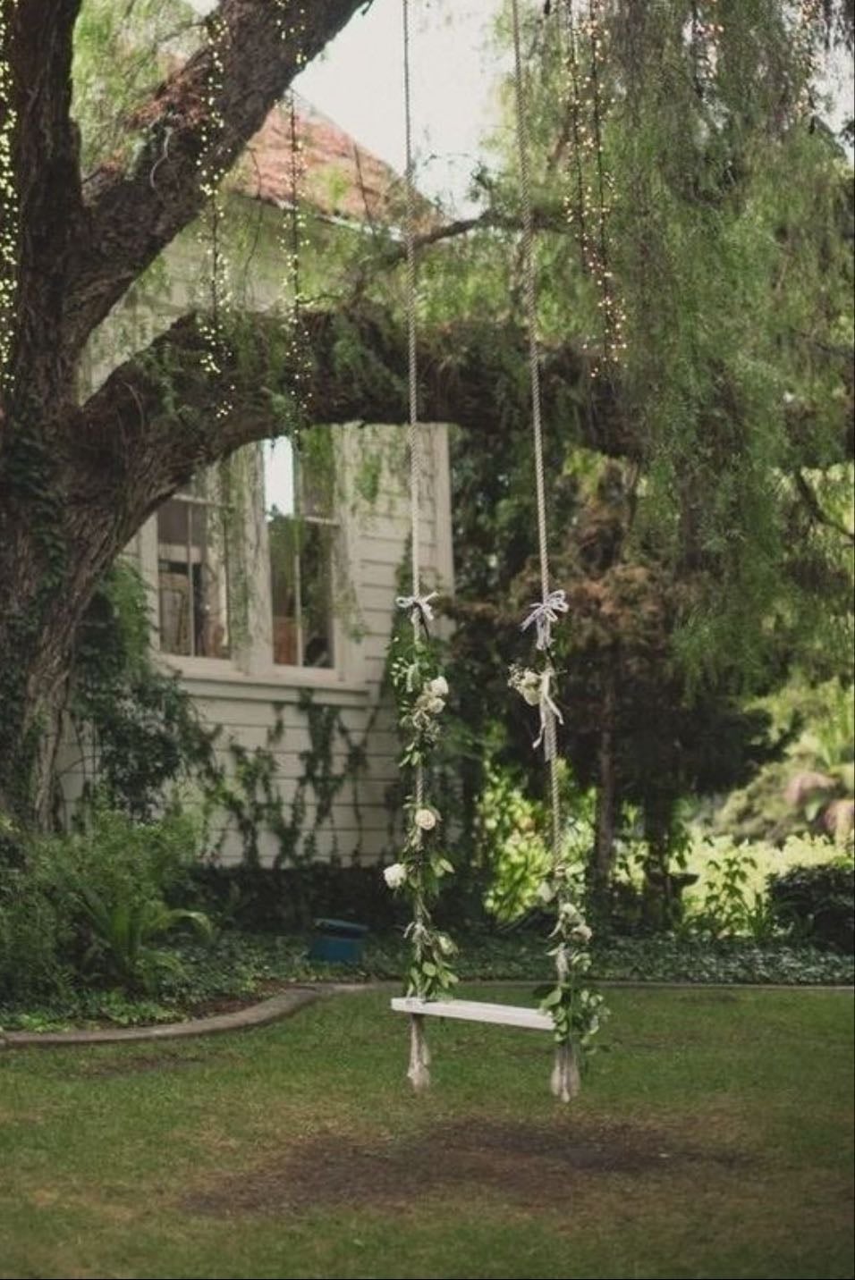 tree swing
