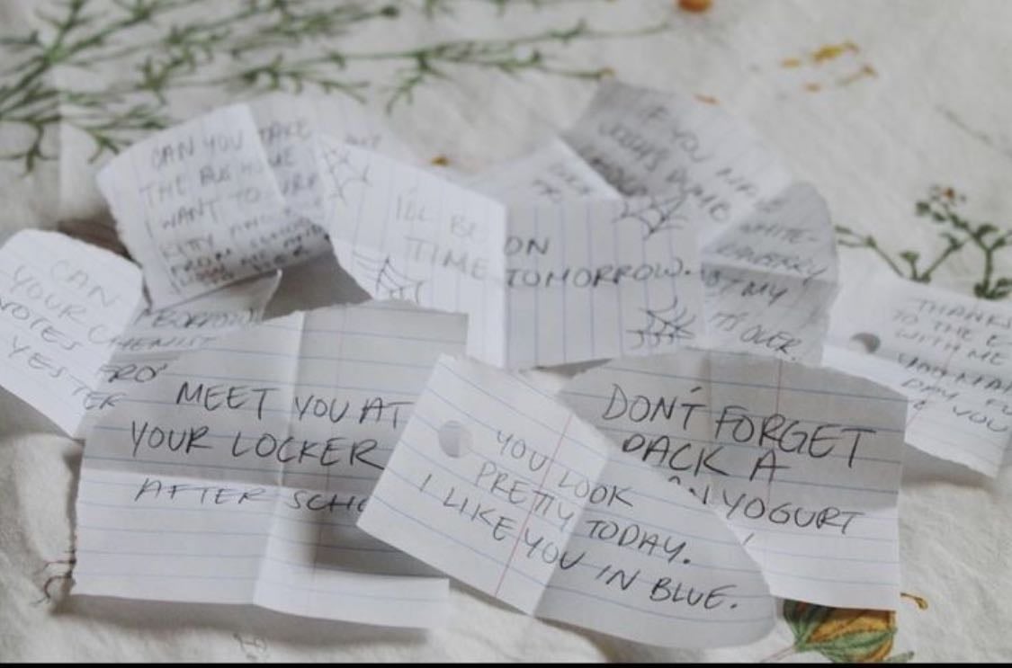 dairy notes