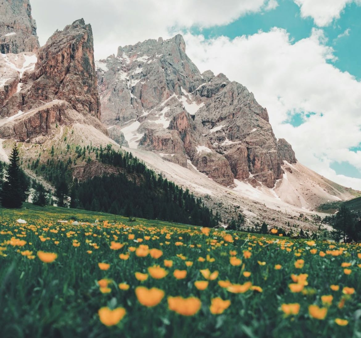 I want to go to there