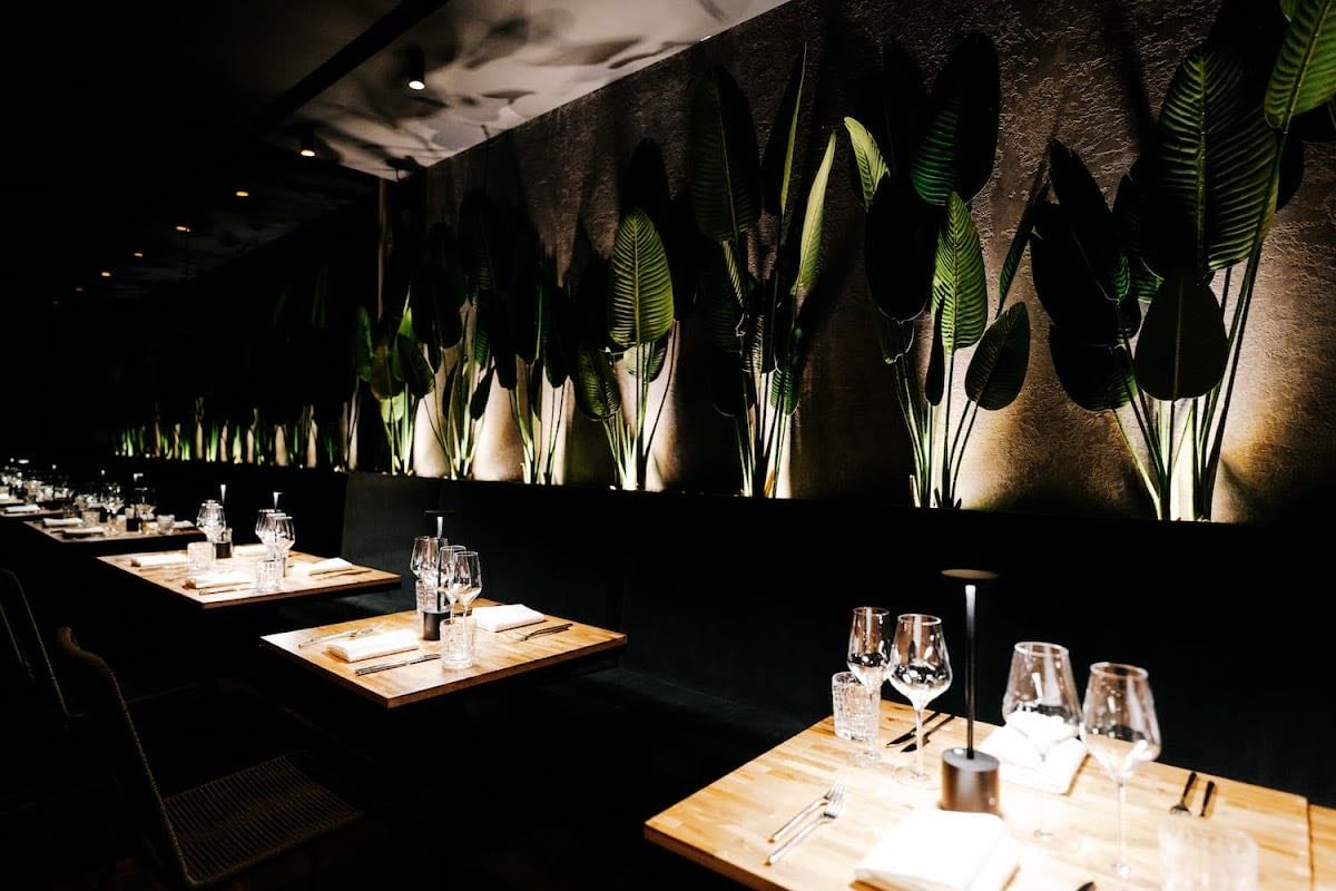 The DJNGL • Fusion Kitchen (Brunch & Dinner) - Restaurant · Bergheim, Heidelberg