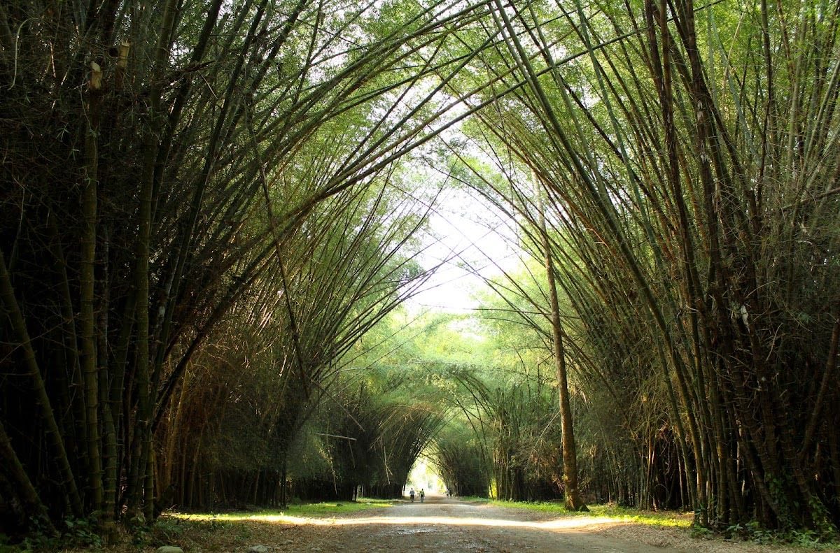 Jardín Botánico Lancetilla