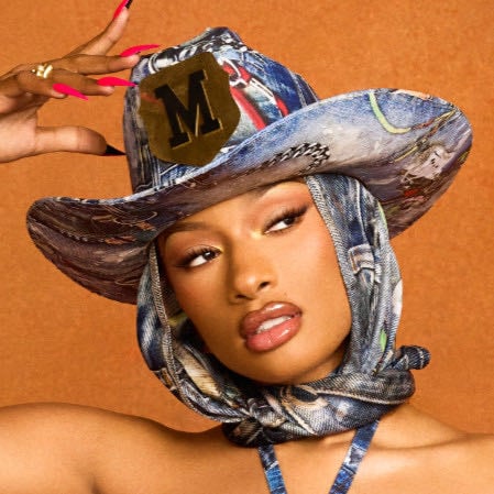 megan thee stallion - Artist