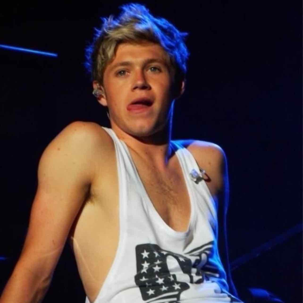 Niall horan - Nice to meet ya tour