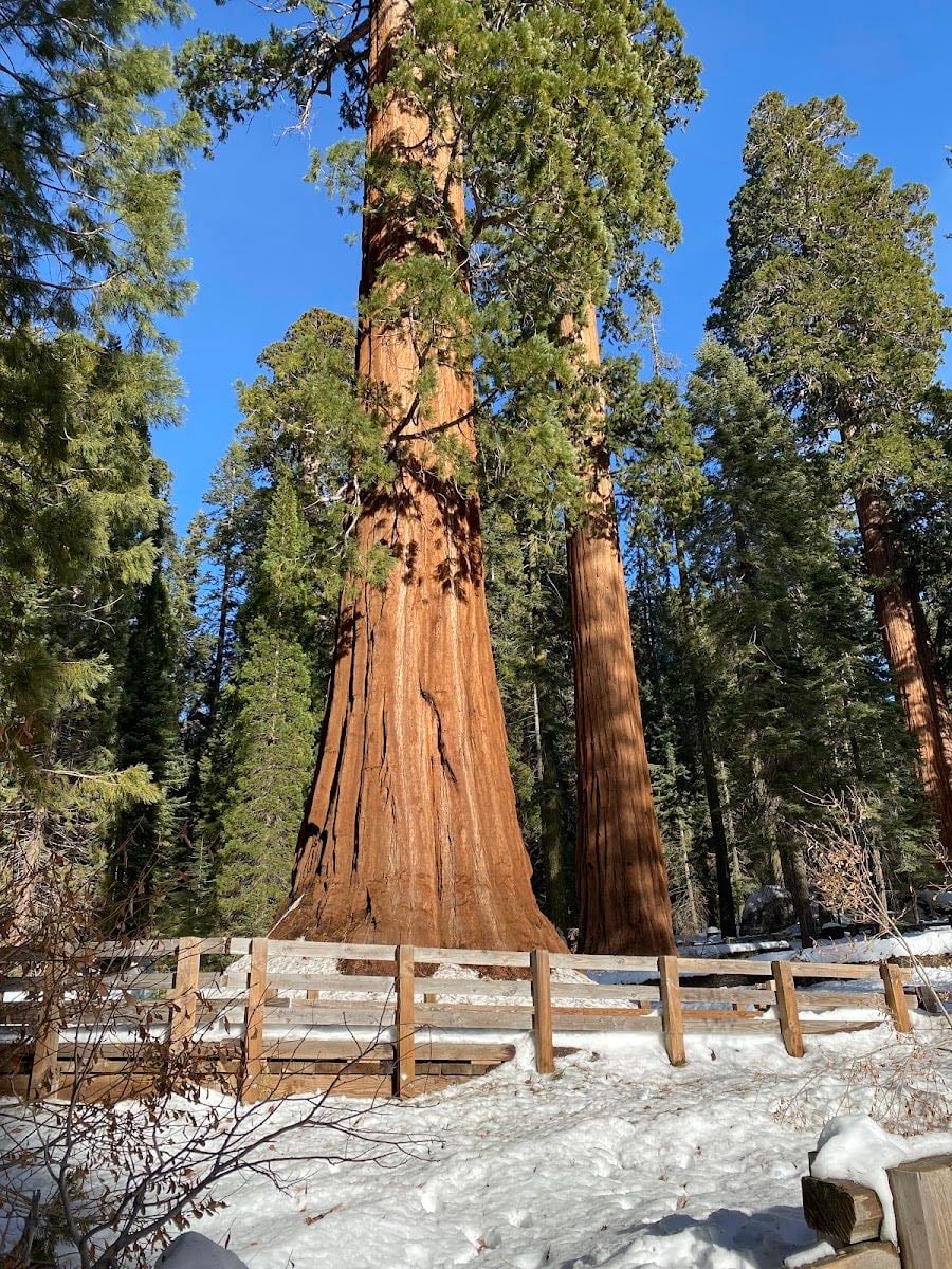 Sequoia National Park