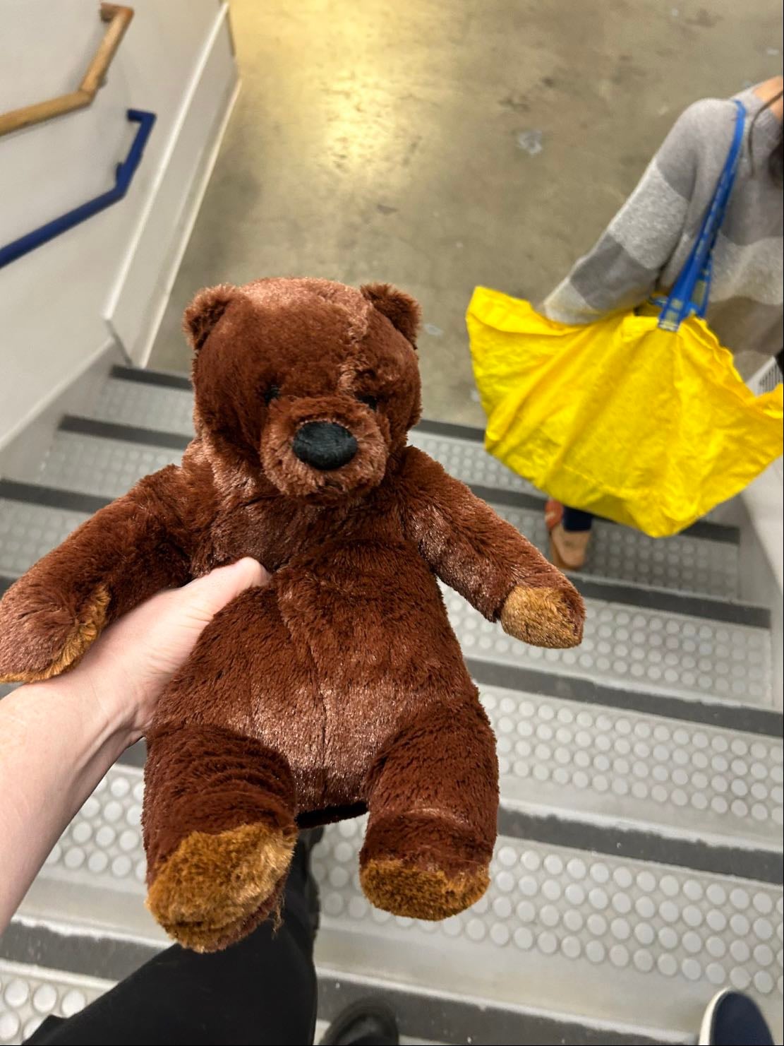 mini djungelskog
