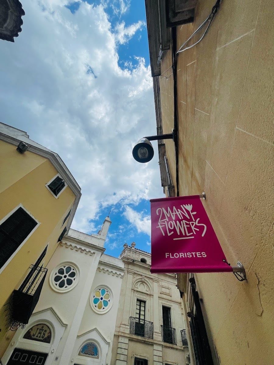 2manyflowers