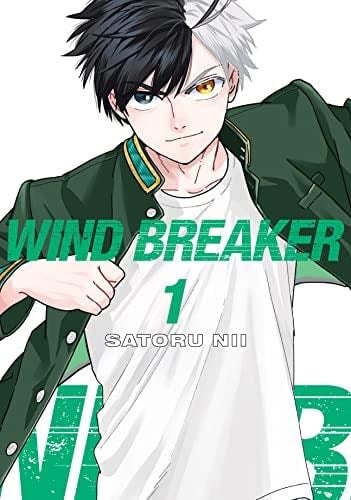 WIND BREAKER - Satoru Nii