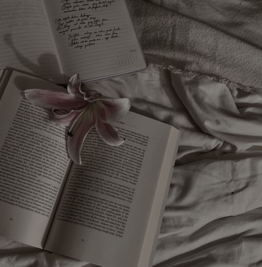 my TBR 2026 - Books hypelist by Precious ⭑