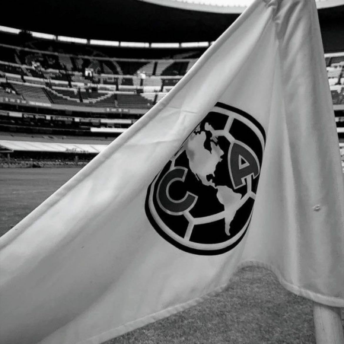 club américa - puro aguilucho