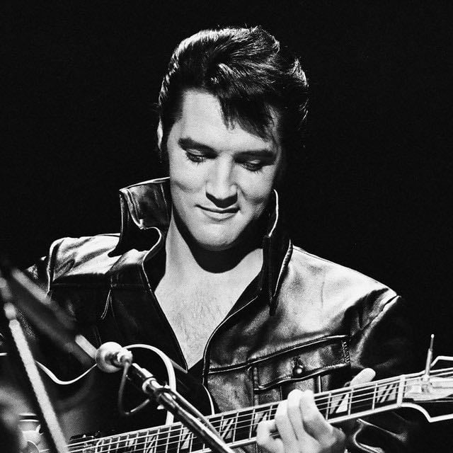 Elvis Presley - Artist