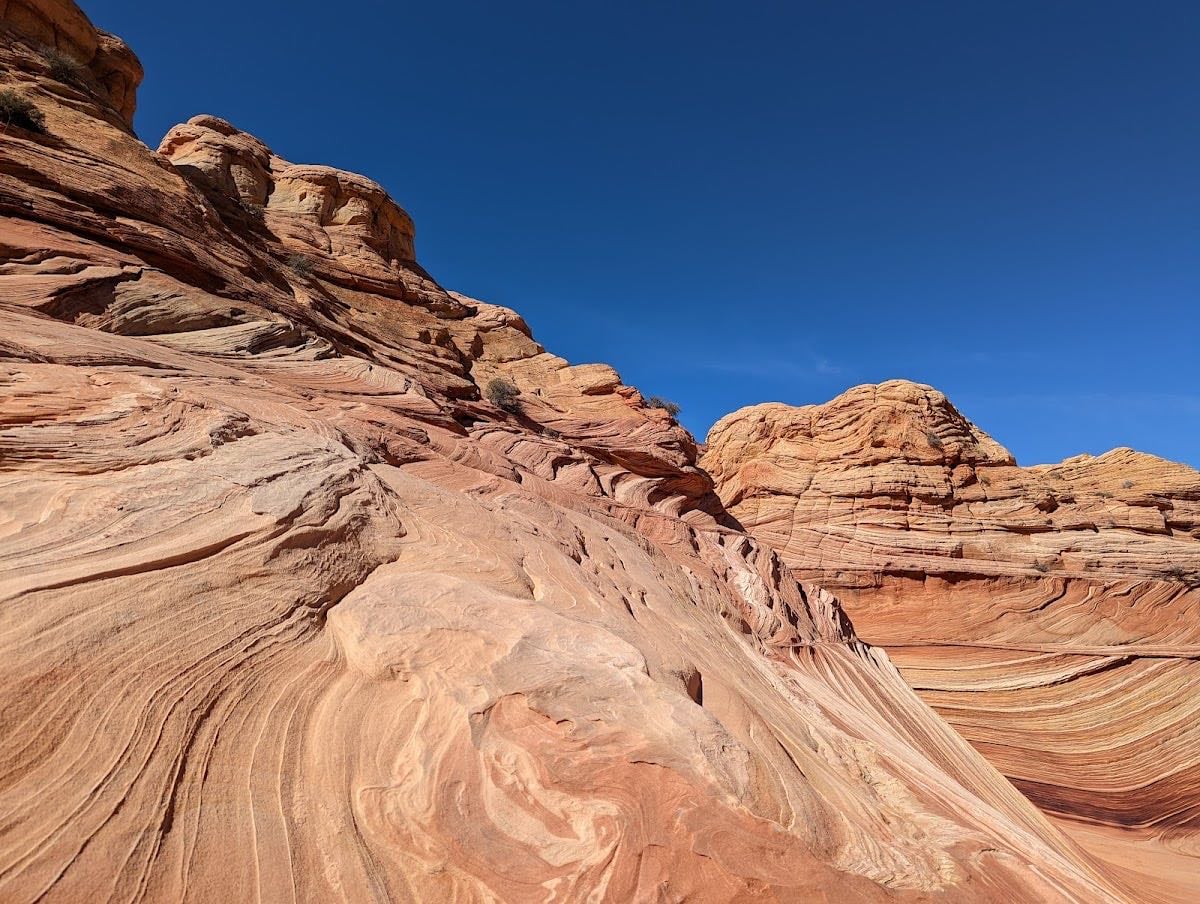 The Wave Trail