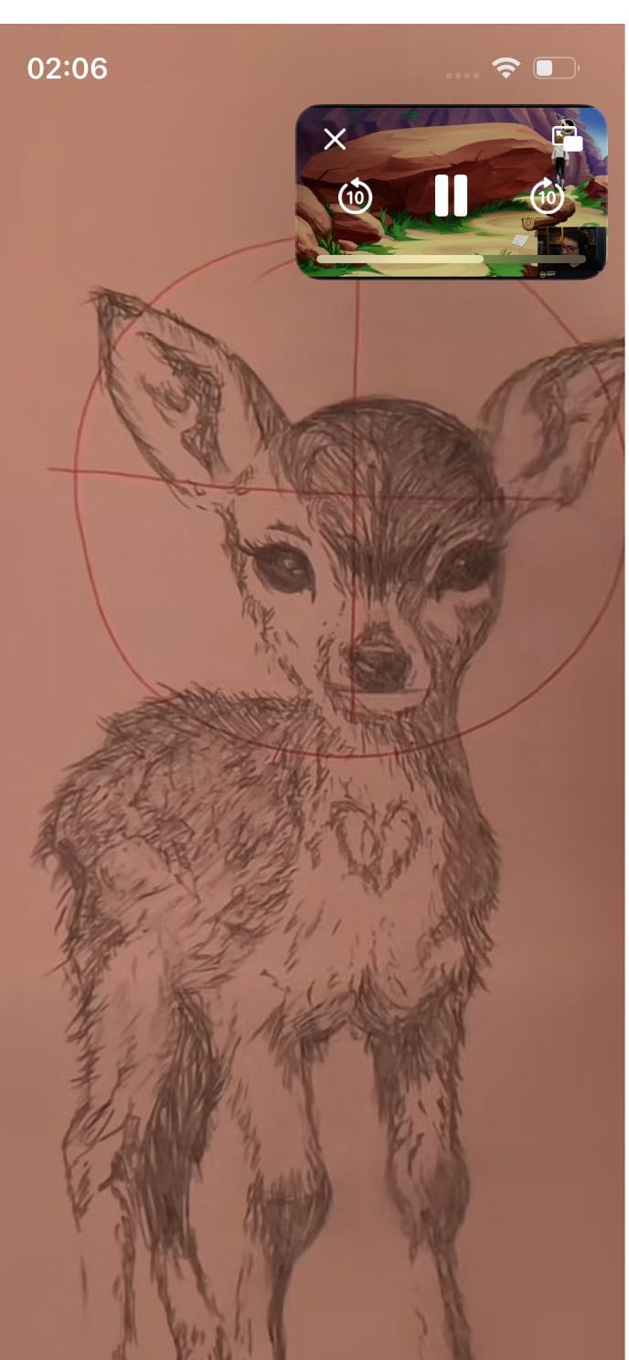 Deer