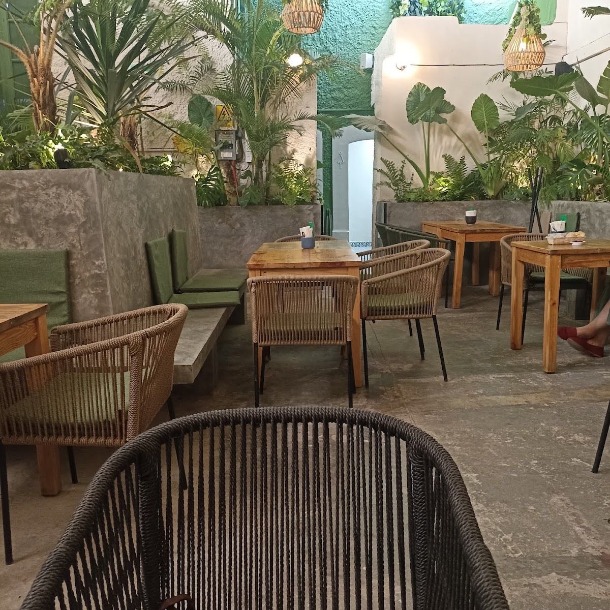 Templo Bonsái Cafe Americana