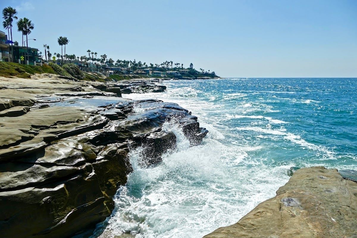 Windansea Beach