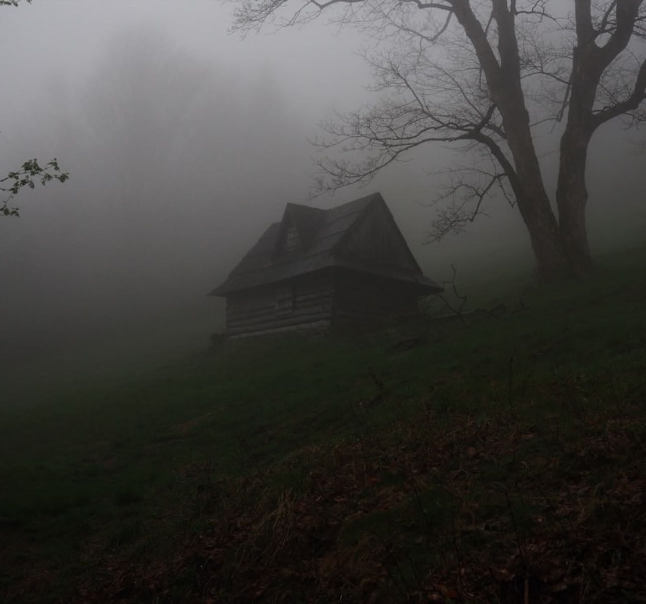 Top horror movies - Movies hypelist by Lionel Taurus