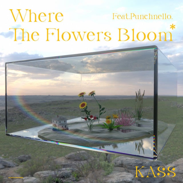 Where the Flowers Bloom (Feat. punchnello) - Song · Kass, punchnello