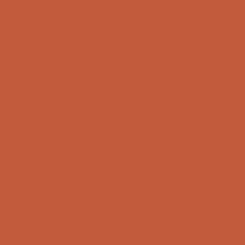 orange rust - 18-1447 TCX
