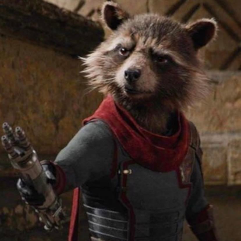 rocket racoon - guardians of the galaxy