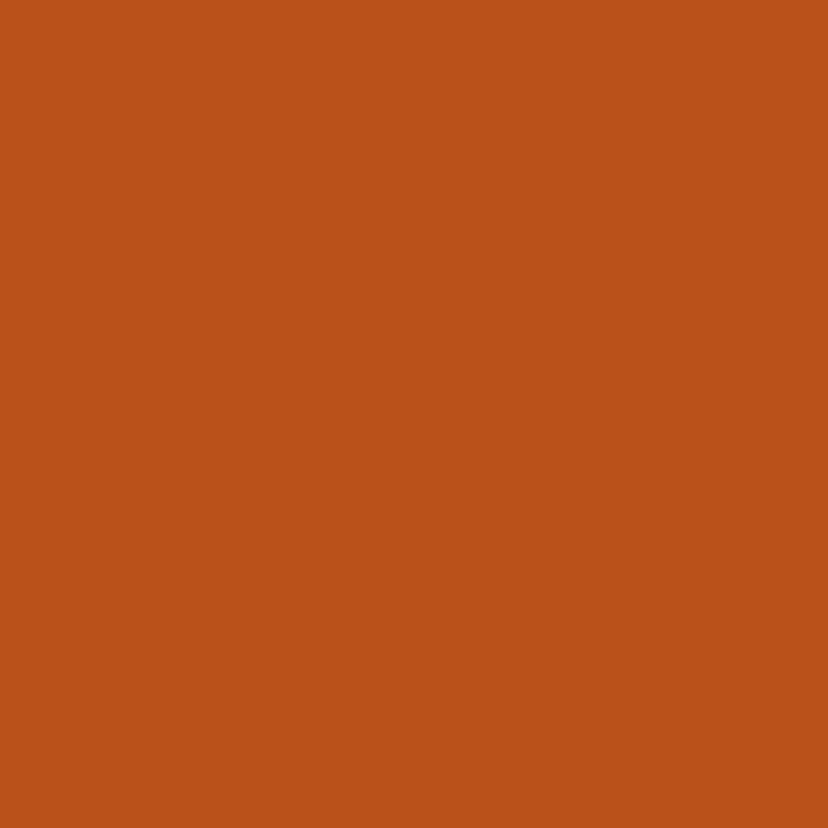 copper skillet - 20-0058 TPM