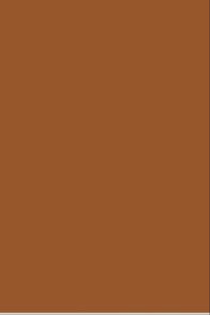 leather brown - 18-1142 TCX