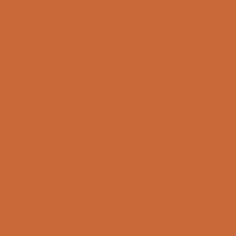 burnt orange - 16-1448 TPG