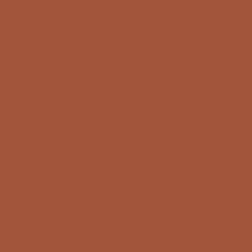 cinnamon stick (paper) - 18-1345 TPG