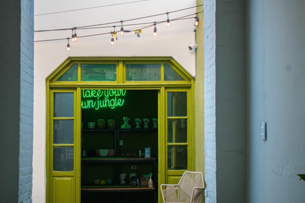 Nod Coffee & Plants
