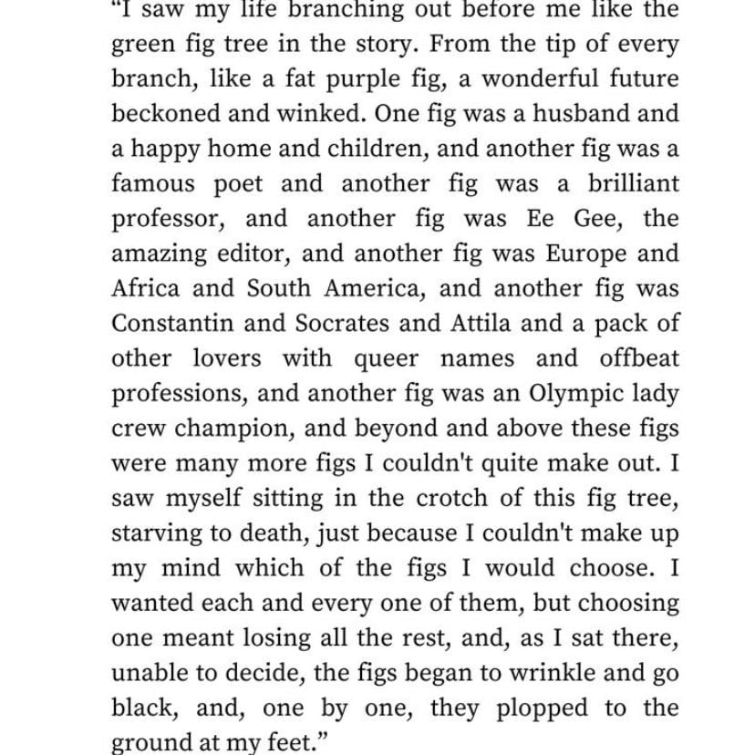 the fig tree analogy - roman empire