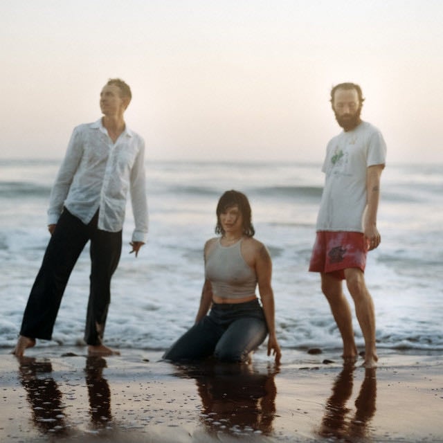 Big Thief - Artist