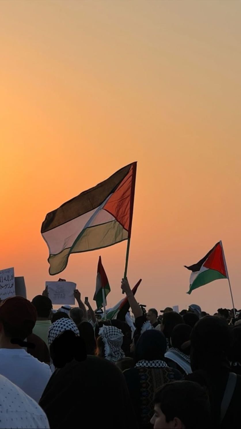 journalism and politics - free Palestine 🇵🇸 stay educated