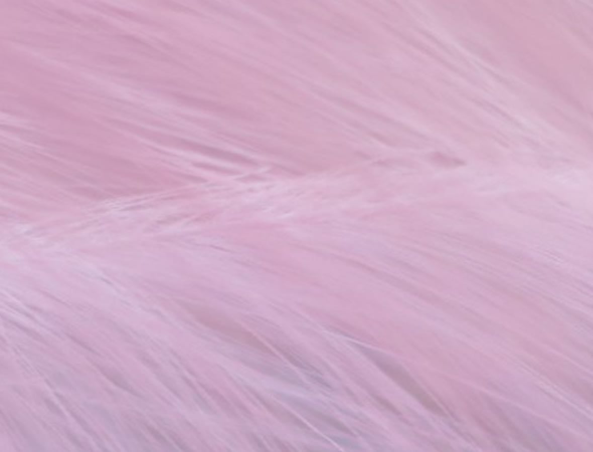 love films 💗 - Movies hypelist by Sol bebitax
