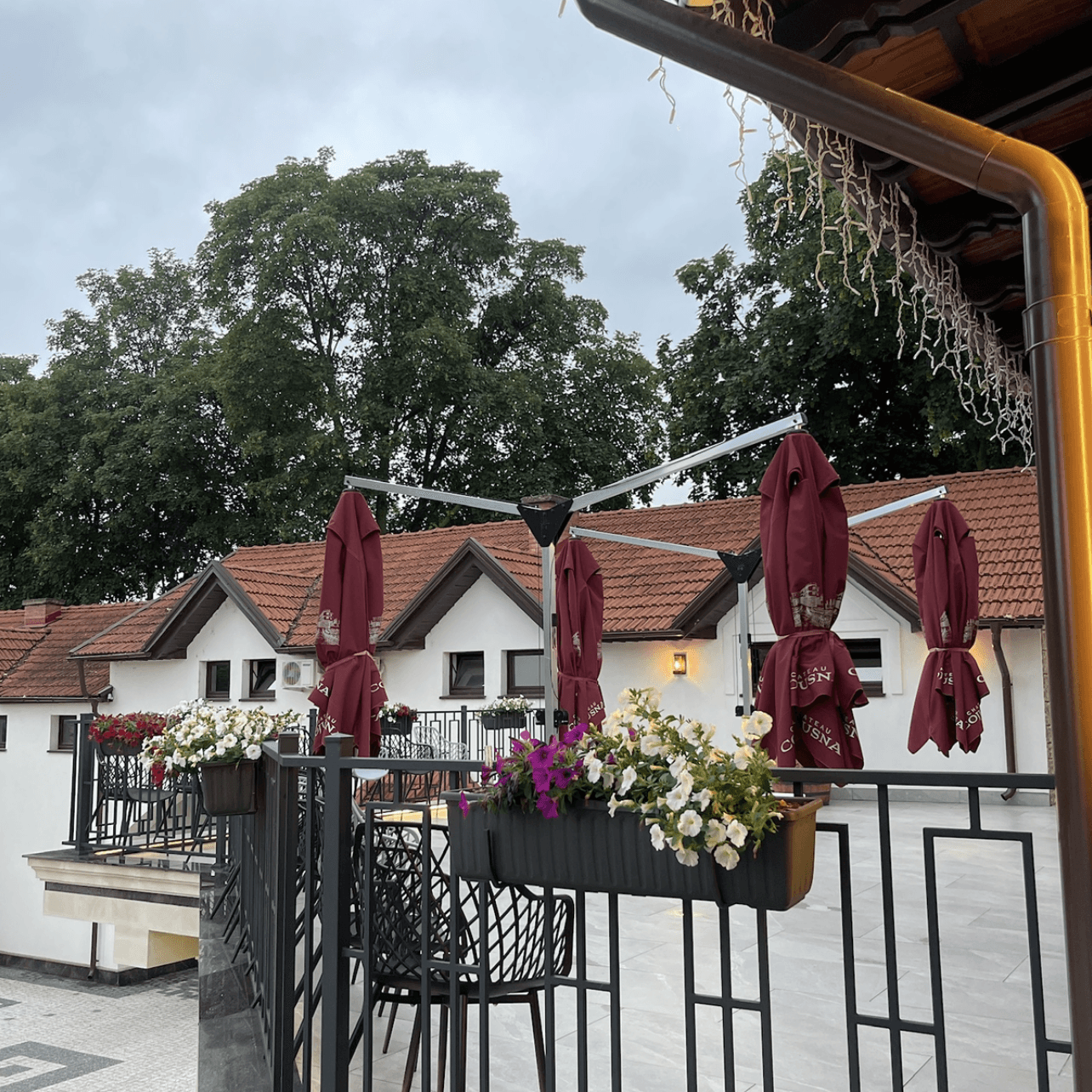 Chateau Cojusna. Migdal-P - restaurant & vineyard