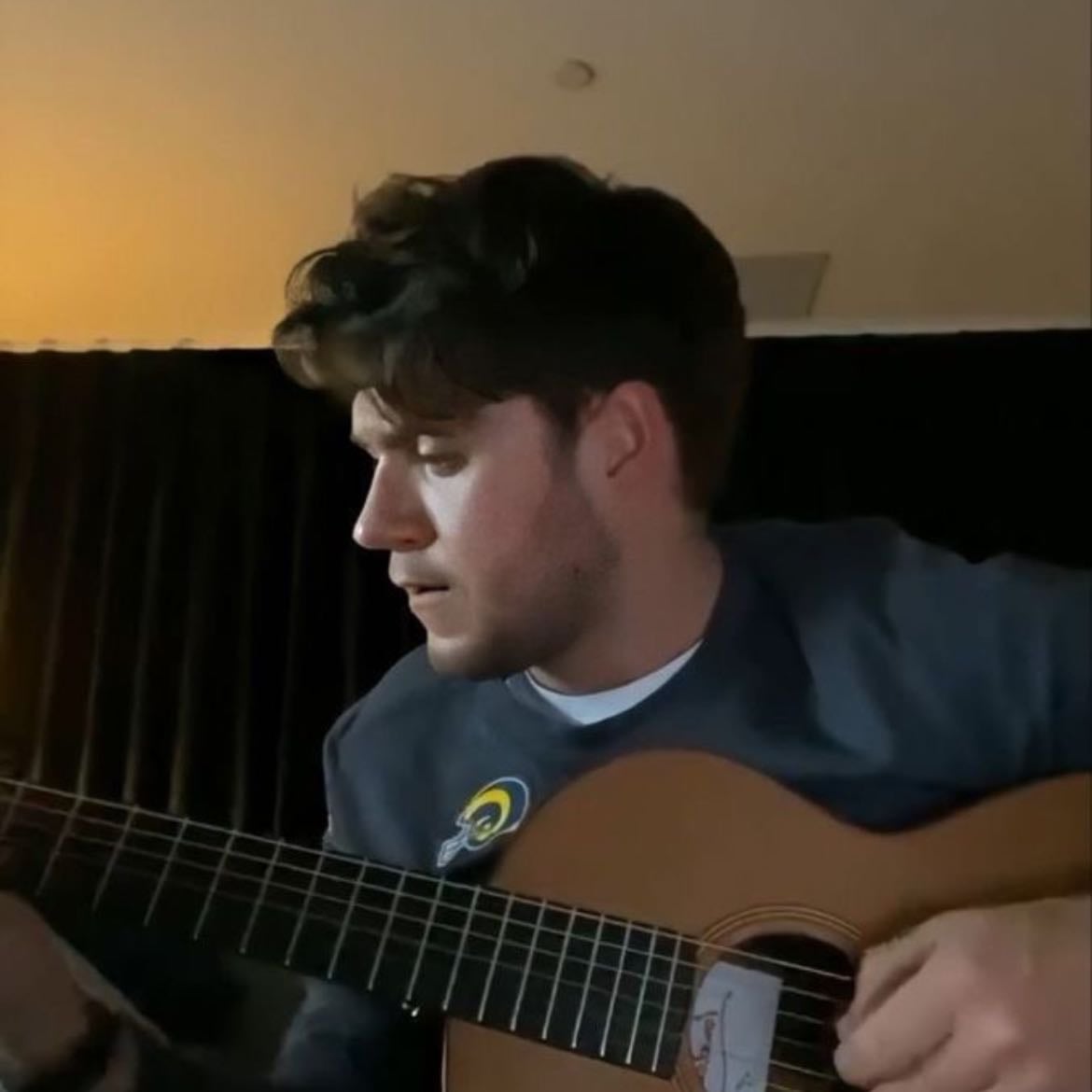 Niall Horan - Artist