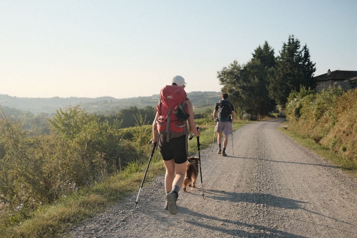 go for a walk, jog, or a hike