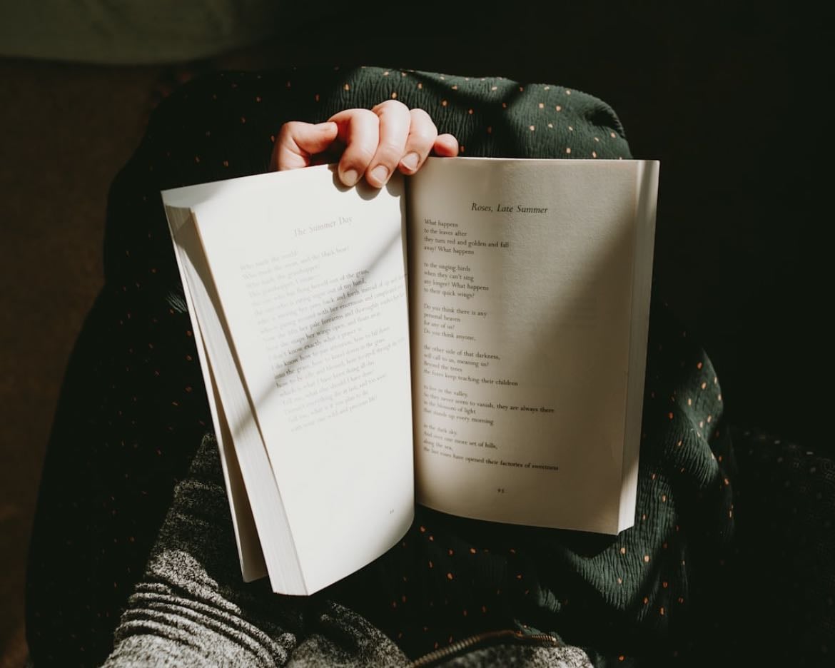 write blogs, stories, or poetry