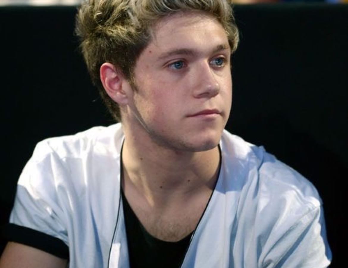 NIALL HORAN ERAS βπ»π (freyas husband eras heheh)