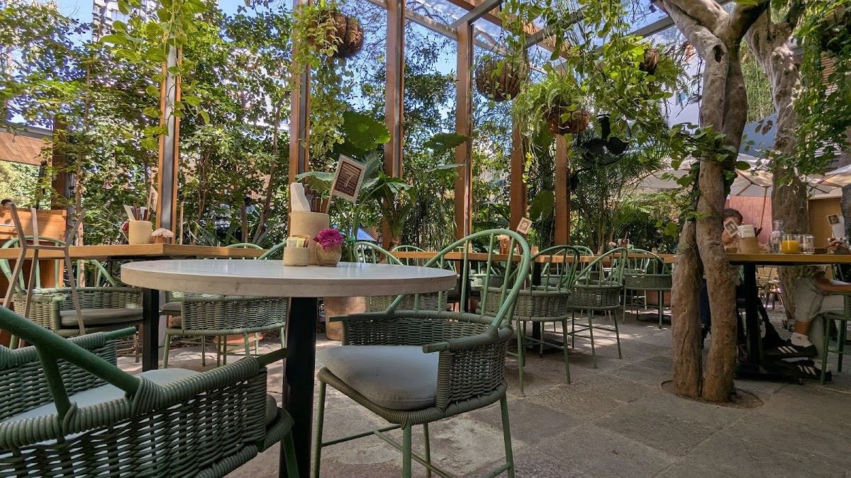 Damiana, Café y Libros