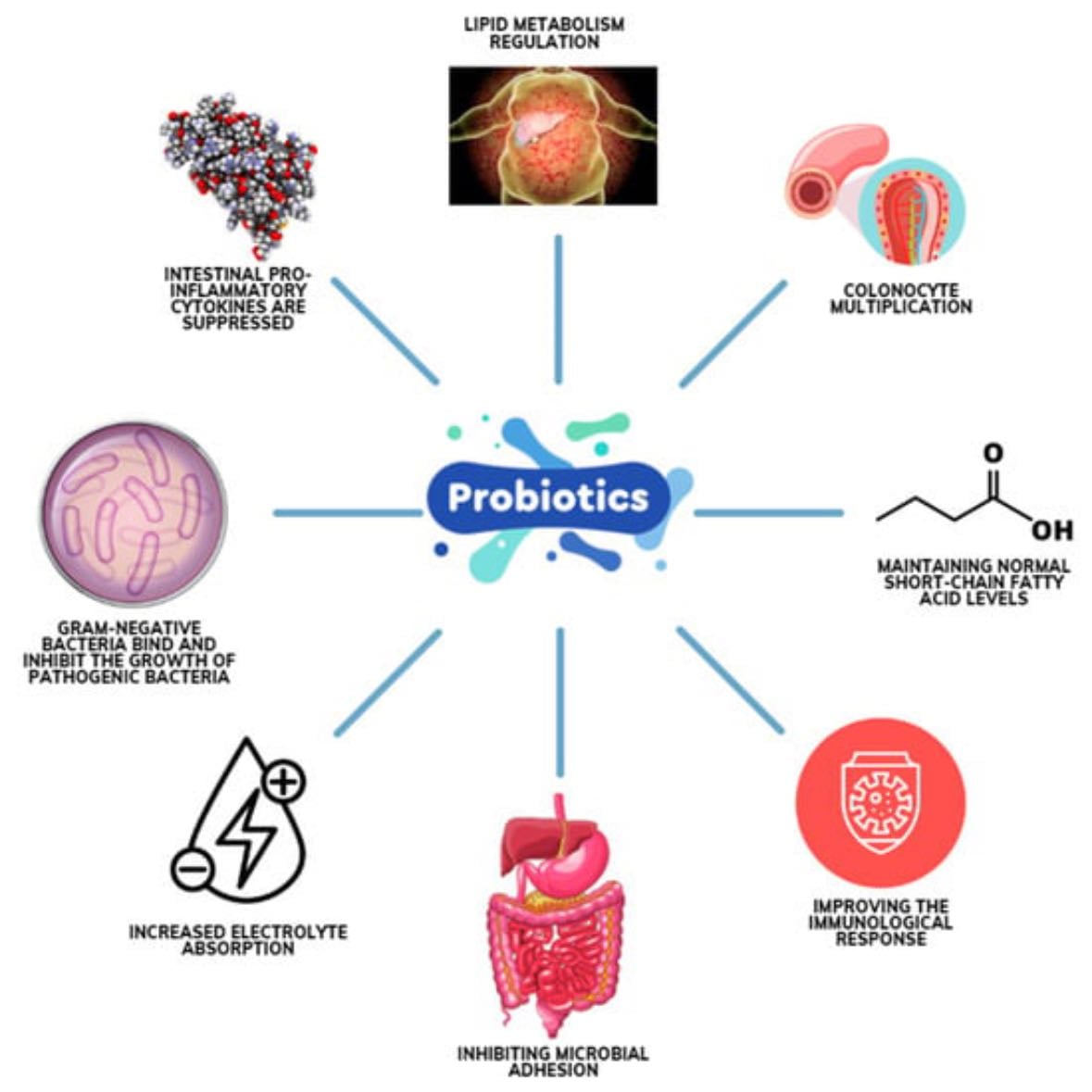 Incorporate Probiotics - Foods like yogurt, kefir, or probiotic supplements help balance gut bacteria, reducing bloating caused by indigestion or gas.