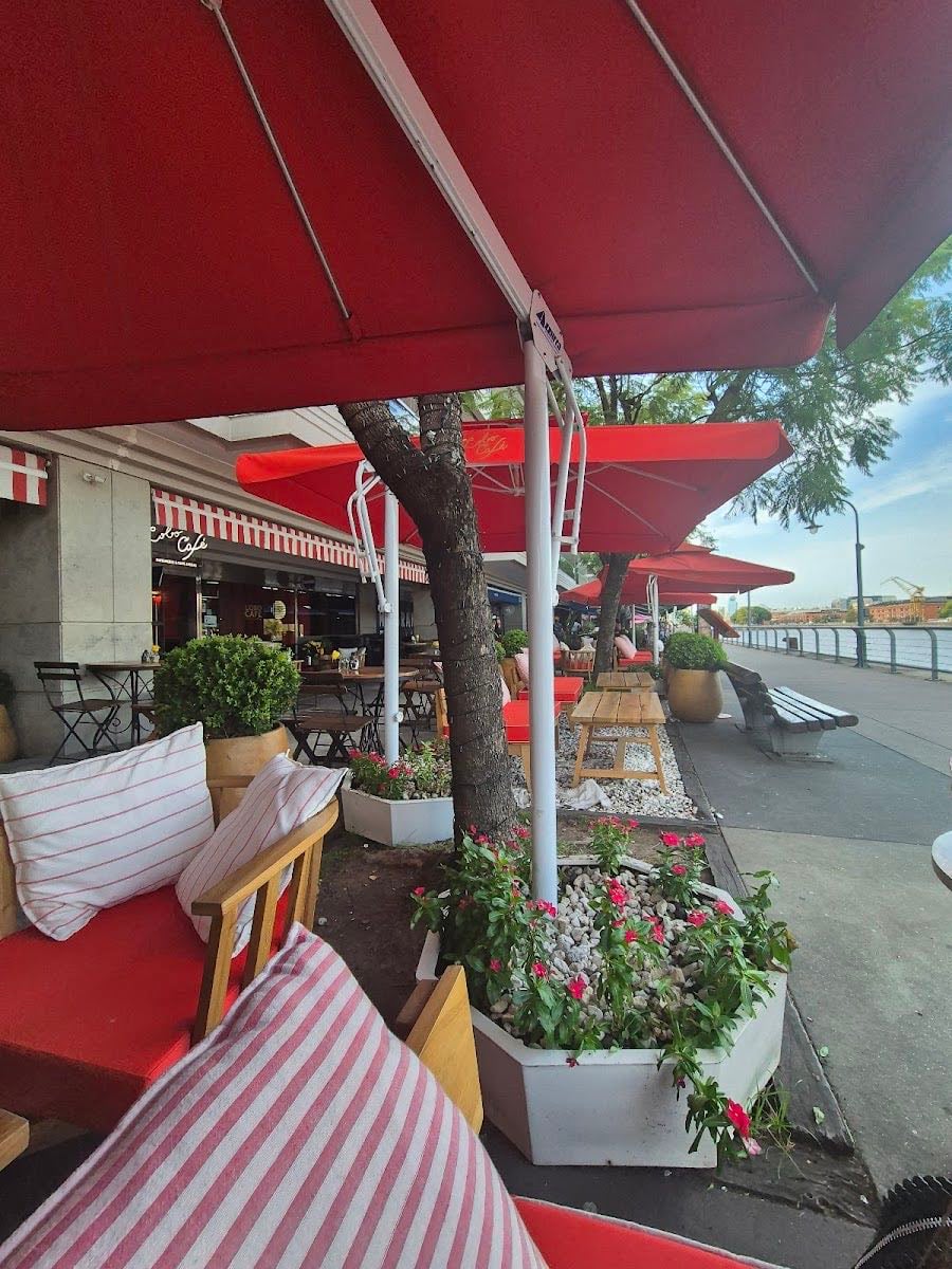 Lobo Café Puerto Madero