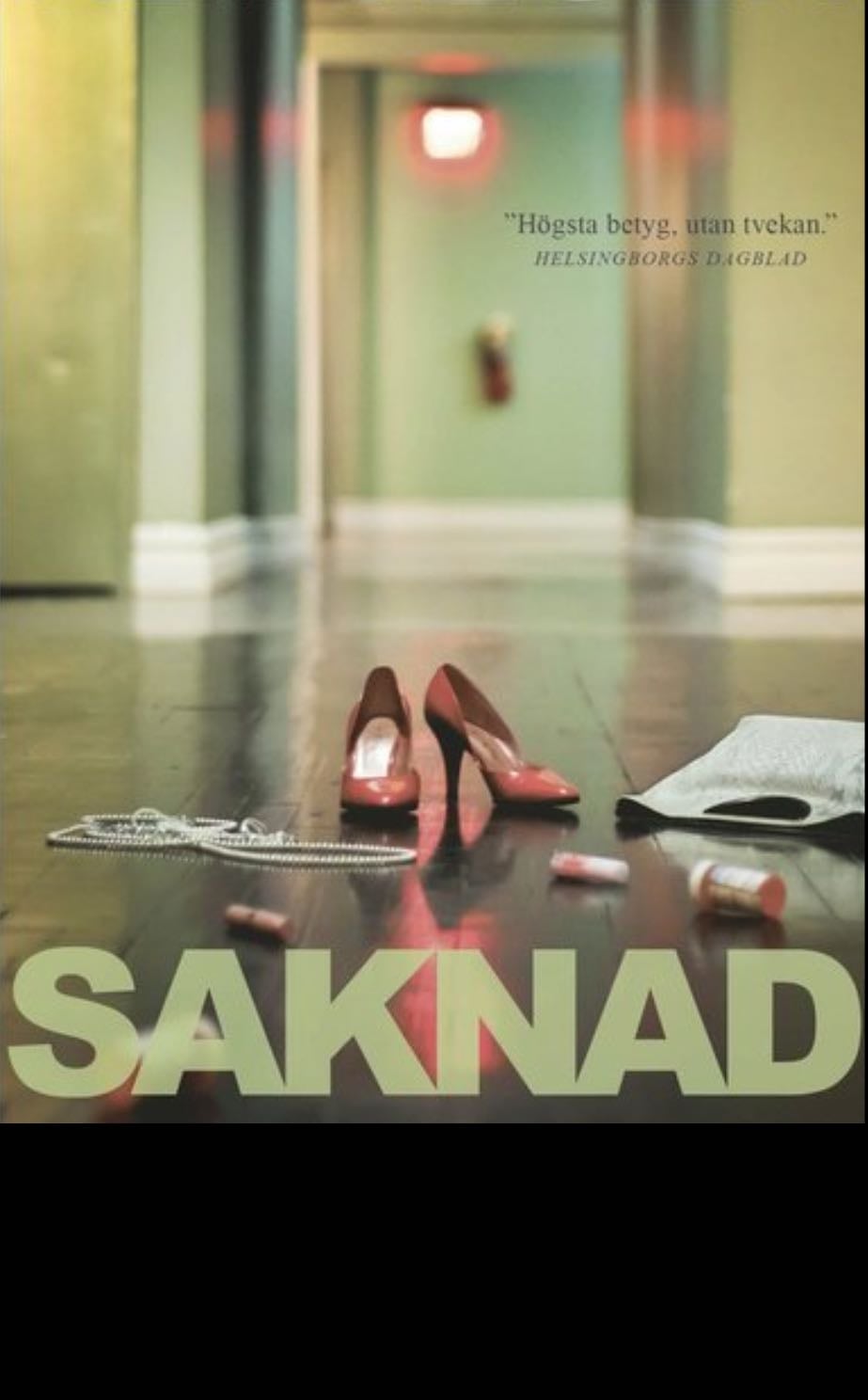 Saknad - Karin Alvtegen · 2013
