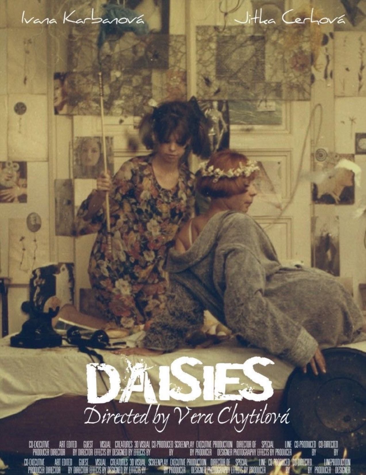 Daisies