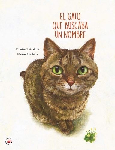 El gato que buscaba un nombre (Spanish Edition) - Fumiko Takeshita, Naoko Machida · 2020