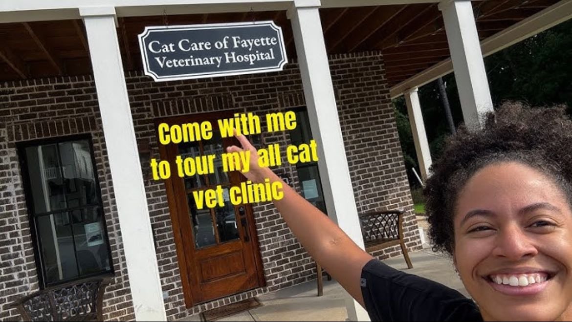 Cat care of Fayette veterinary hospital - Feline only black owned cat hospital
