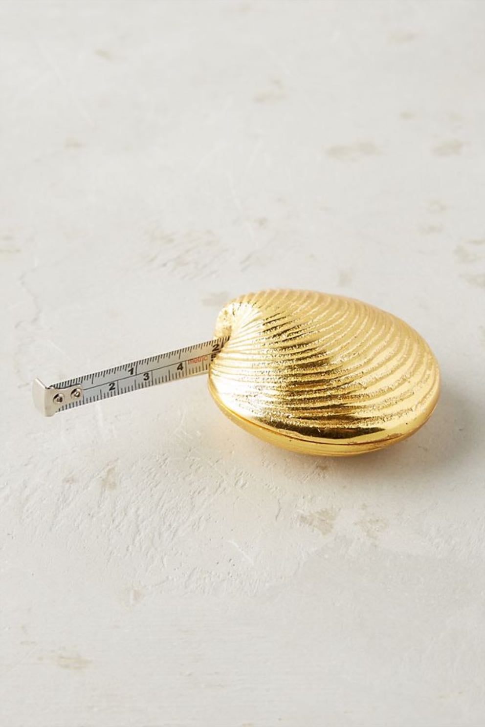 Seashell measuring tape