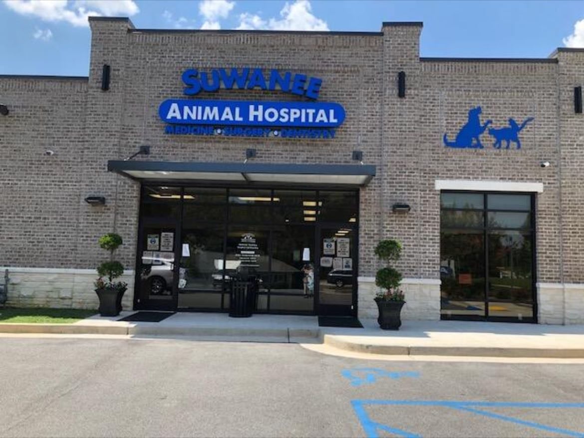 Suwanee animal hospital