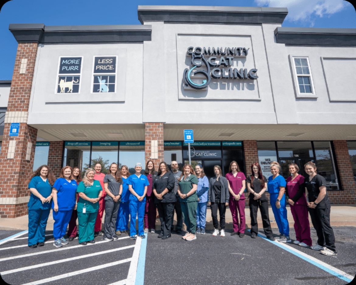 Community cat clinic - 👏🏽👏🏽👏🏽 10/10