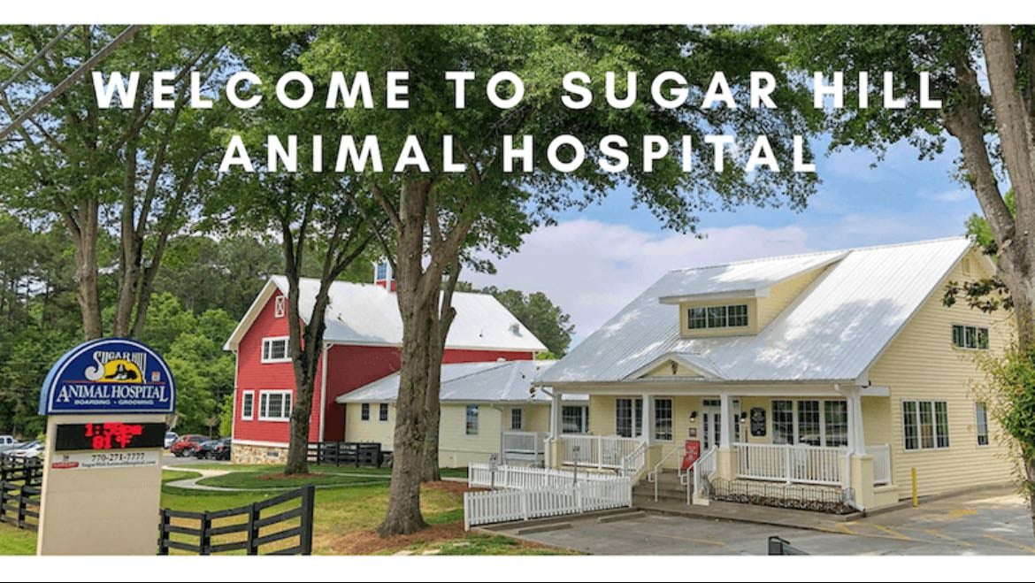 Sugar hill animal hospital