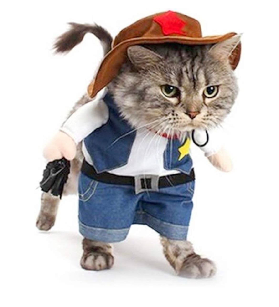 Halloween Cat Cowboy Costume